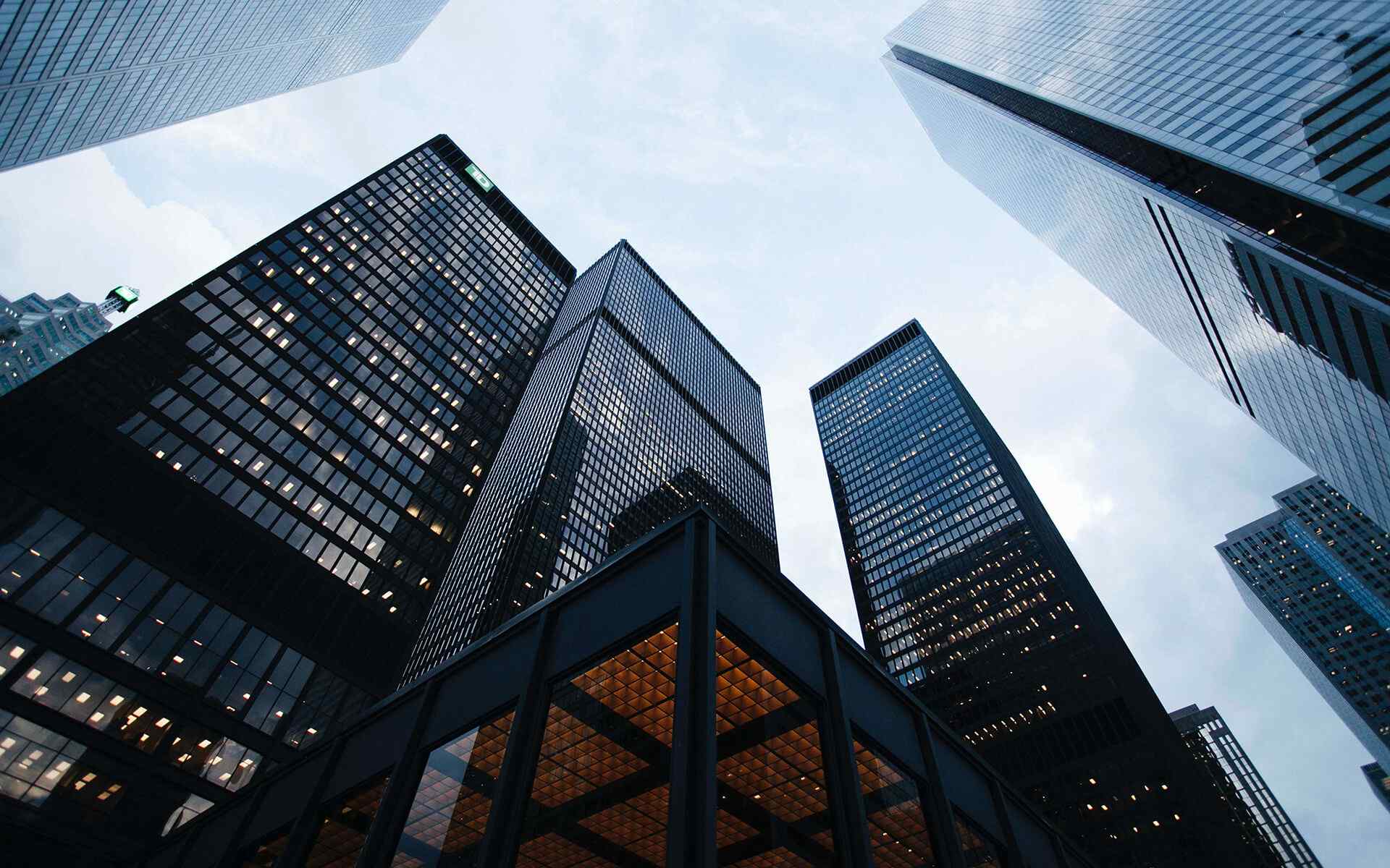 Why Purpose-Driven Employers Succeed